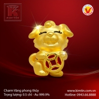 Charm vàng phong thủy