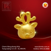 Charm vàng phong thủy