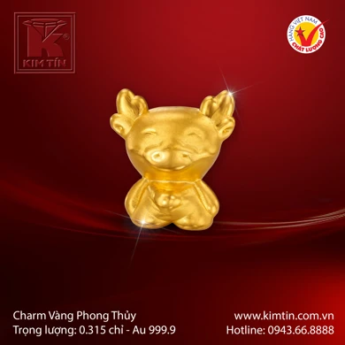 Charm Vàng 24K 