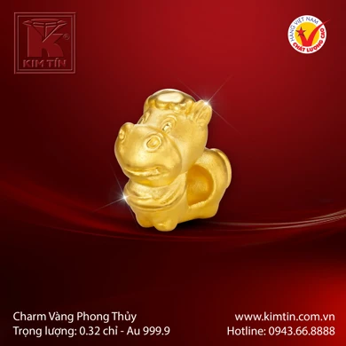 Charm Vàng 24K 