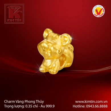 Charm Vàng 24K 
