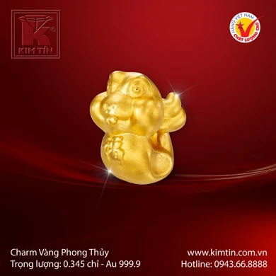 Charm Vàng 24K 