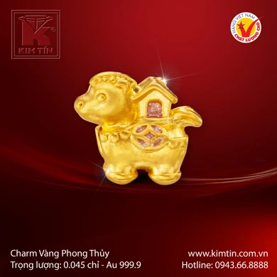 Charm Vàng 24K