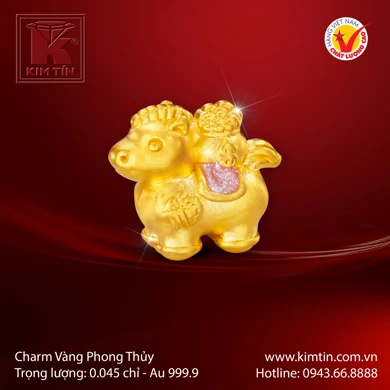 Charm Vàng 24K 
