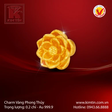 Charm Vàng 24K 