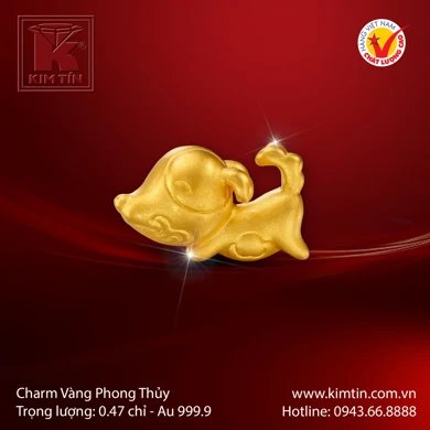 Charm Vàng 24K 