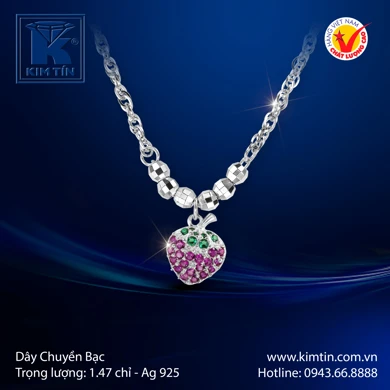 Dây chuyền Bạc 