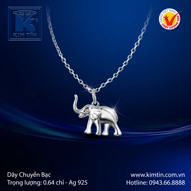 Dây chuyền Bạc