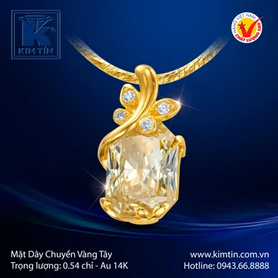 Mặt dây chuyền Vàng tây 14K 