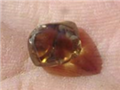 Người đào được nhiều kim cương nhất nước Mỹ