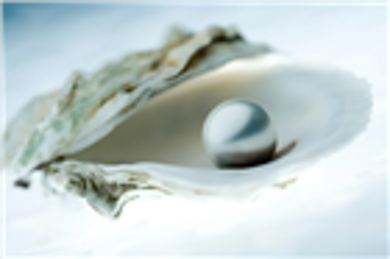 Sức hút từ ngọc trai