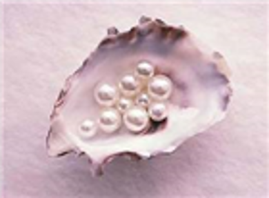 Sự đa dạng của Ngọc trai